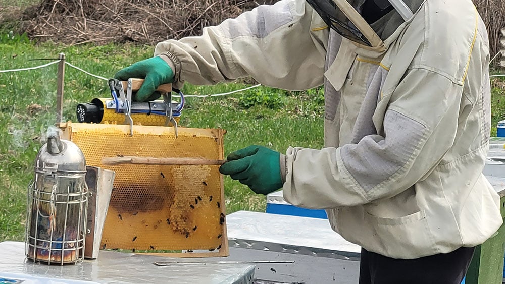 VS-Photograph_20240401_DRI_Ukraine_Beekeepers_VitaliiBuryan_012_©GGC copy